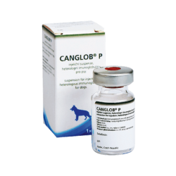 Canglob P vial x 6 ml (Parvo)