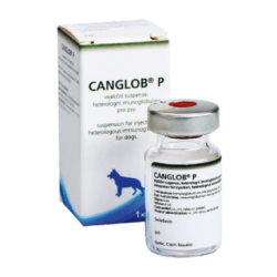 Canglob P vial x 6 ml (Parvo)