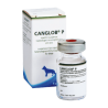 Canglob P vial x 6 ml (Parvo)