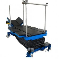 Mesa hidráulica veterinaria grandes especies